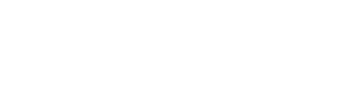 Avidan Consulting